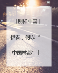 别样中国丨伊春，何以“中国林都”