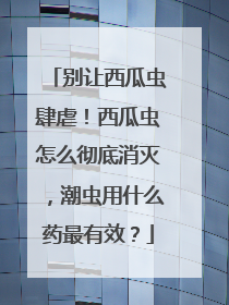 别让西瓜虫肆虐！西瓜虫怎么彻底消灭，潮虫用什么药最有效？