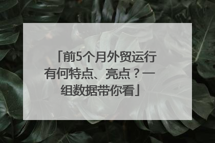 前5个月外贸运行有何特点、亮点？一组数据带你看