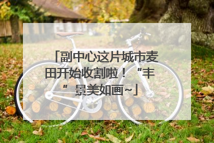 副中心这片城市麦田开始收割啦！“丰”景美如画~