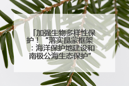 加强生物多样性保护！“落实昆蒙框架：海洋保护地建设和南极公海生态保护”主题论坛将举办