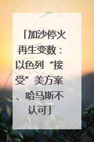 加沙停火再生变数：以色列“接受”美方案、哈马斯不认可