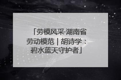 劳模风采·湖南省劳动模范｜胡诗学：碧水蓝天守护者