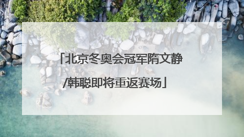 北京冬奥会冠军隋文静/韩聪即将重返赛场