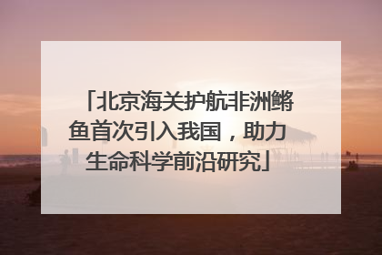 北京海关护航非洲鳉鱼首次引入我国，助力生命科学前沿研究