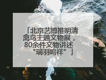 北京艺博推明清禽鸟主题文物展，80余件文物讲述“瑞羽鸣祥”