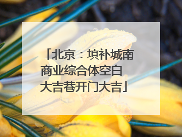 北京：填补城南商业综合体空白 大吉巷开门大吉