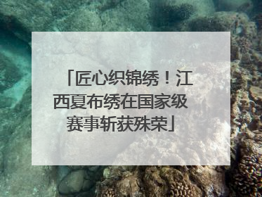 匠心织锦绣！江西夏布绣在国家级赛事斩获殊荣