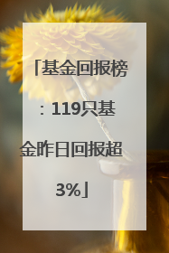 基金回报榜：119只基金昨日回报超3%