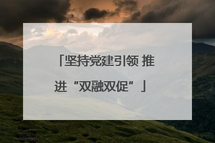 坚持党建引领 推进“双融双促”