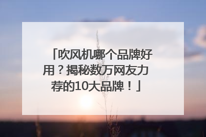 吹风机哪个品牌好用？揭秘数万网友力荐的10大品牌！