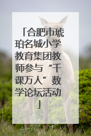 合肥市琥珀名城小学教育集团教师参与“千课万人”数学论坛活动