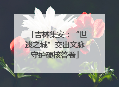 吉林集安：“世遗之城”交出文脉守护硬核答卷