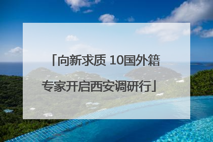 向新求质 10国外籍专家开启西安调研行
