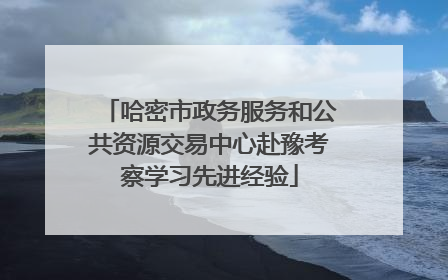 哈密市政务服务和公共资源交易中心赴豫考察学习先进经验