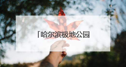 哈尔滨极地公园焕新升级“卷”出新高度，打造多元假日体验