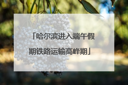 哈尔滨进入端午假期铁路运输高峰期
