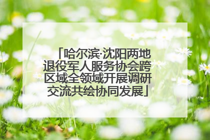 哈尔滨·沈阳两地退役军人服务协会跨区域全领域开展调研交流共绘协同发展