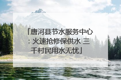 唐河县节水服务中心：火速抢修保供水 三千村民用水无忧