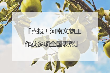 喜报！河南文物工作获多项全国表彰