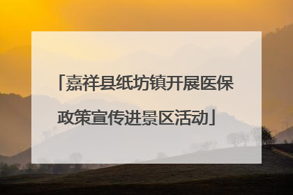 嘉祥县纸坊镇开展医保政策宣传进景区活动