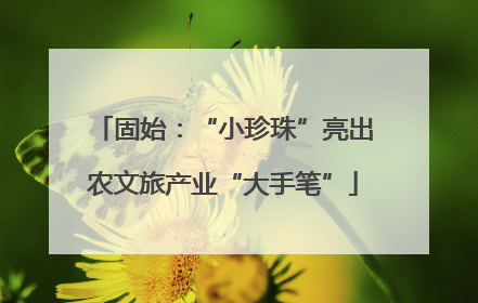 固始：“小珍珠”亮出农文旅产业“大手笔”