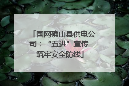 国网确山县供电公司：“五进”宣传 筑牢安全防线