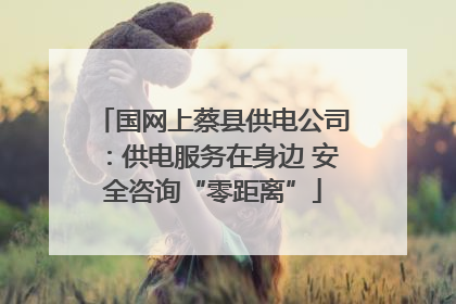 国网上蔡县供电公司：供电服务在身边 安全咨询“零距离”