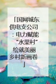 国网城东供电支公司：电力赋能“水果村” 绘就美丽乡村新画卷