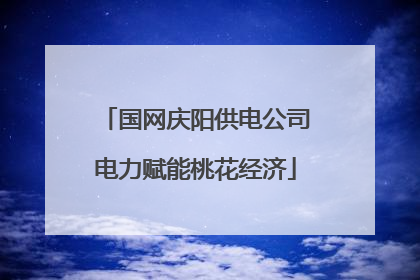 国网庆阳供电公司电力赋能桃花经济