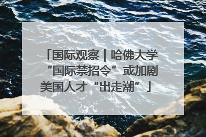 国际观察｜哈佛大学“国际禁招令”或加剧美国人才“出走潮”