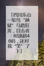 四川乐山一鸵鸟“越狱”马路狂奔，目击者：时速超40码，还对我“笑”了下