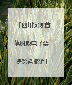 四川实现首笔财政电子票据跨省报销