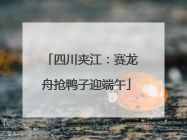四川夹江：赛龙舟抢鸭子迎端午