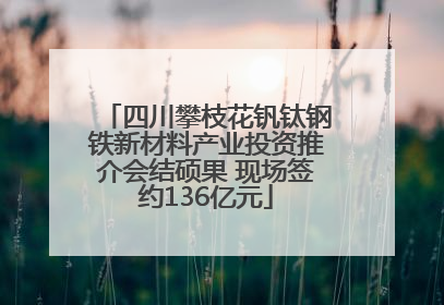 四川攀枝花钒钛钢铁新材料产业投资推介会结硕果 现场签约136亿元