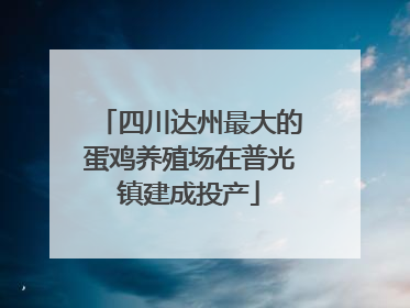 四川达州最大的蛋鸡养殖场在普光镇建成投产