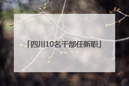 四川10名干部任新职