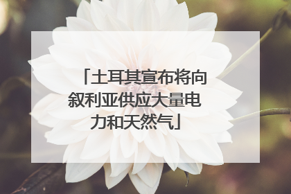 土耳其宣布将向叙利亚供应大量电力和天然气