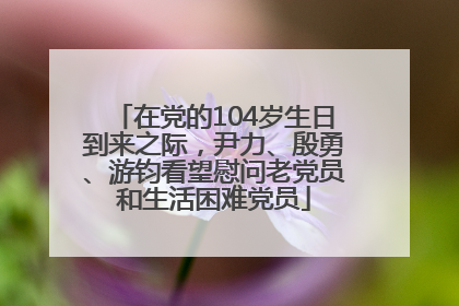 在党的104岁生日到来之际，尹力、殷勇、游钧看望慰问老党员和生活困难党员