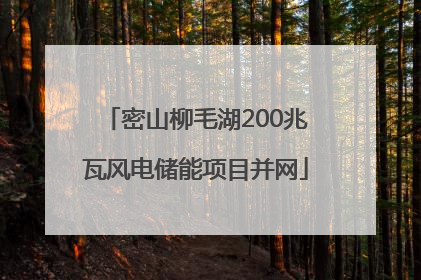 密山柳毛湖200兆瓦风电储能项目并网