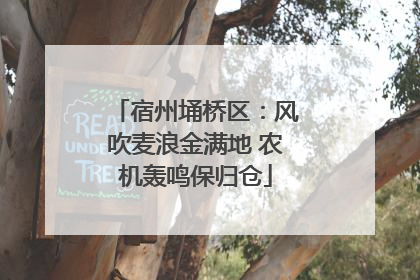 宿州埇桥区：风吹麦浪金满地 农机轰鸣保归仓