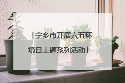 宁乡市开展六五环境日主题系列活动