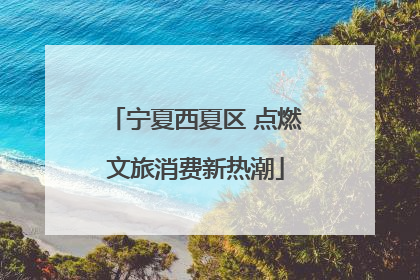 宁夏西夏区 点燃文旅消费新热潮