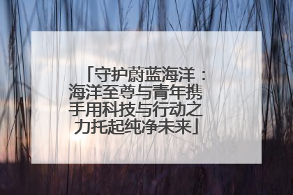 守护蔚蓝海洋：海洋至尊与青年携手用科技与行动之力托起纯净未来