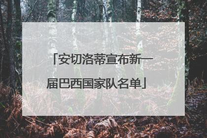 安切洛蒂宣布新一届巴西国家队名单