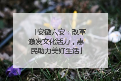 安徽六安：改革激发文化活力，惠民助力美好生活