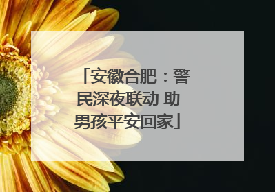 安徽合肥：警民深夜联动 助男孩平安回家