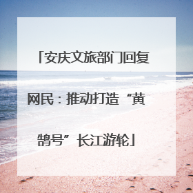 安庆文旅部门回复网民：推动打造“黄鹄号”长江游轮