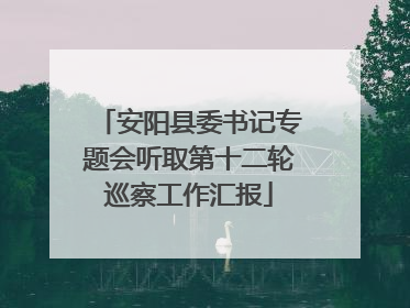 安阳县委书记专题会听取第十二轮巡察工作汇报