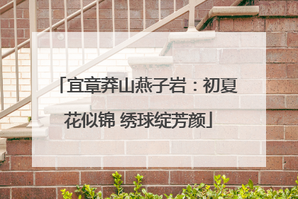 宜章莽山燕子岩：初夏花似锦 绣球绽芳颜